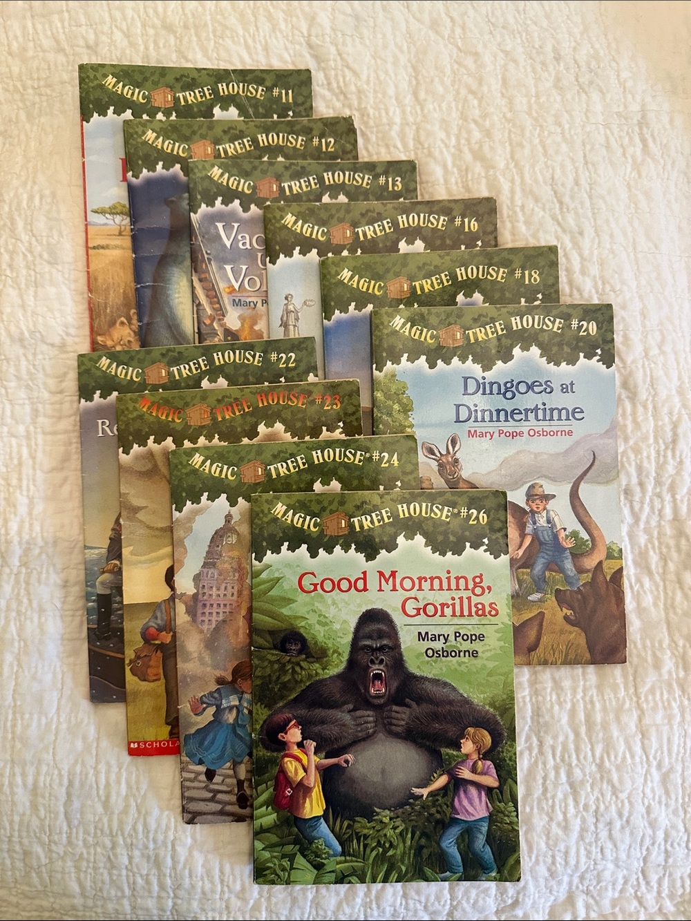 Magic Tree House books Lot of 10